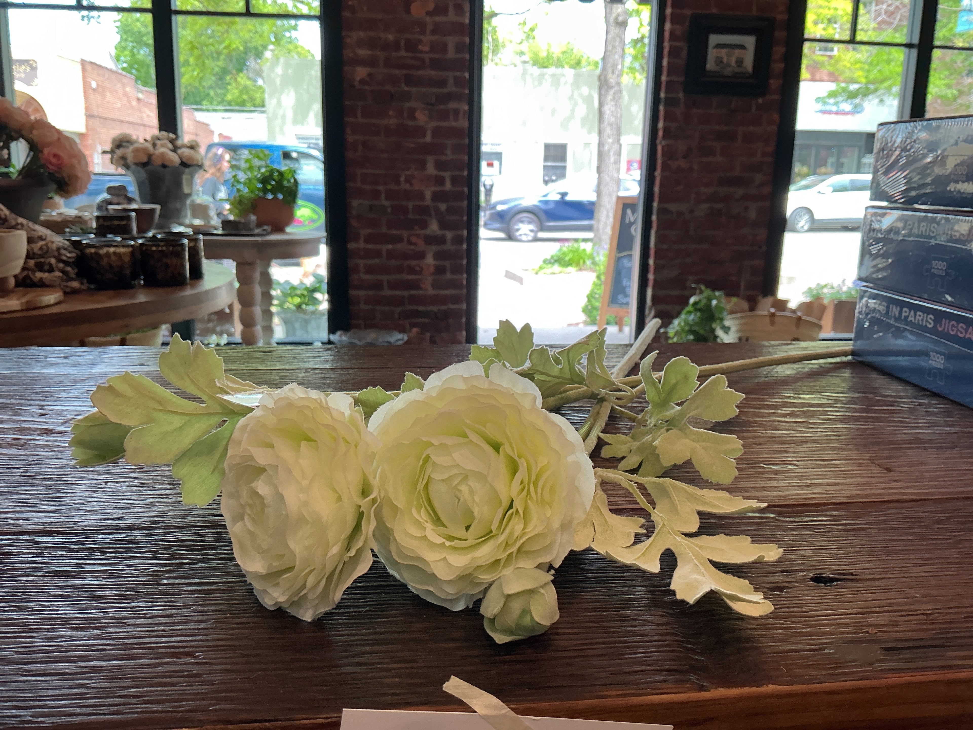 Ranunculus White