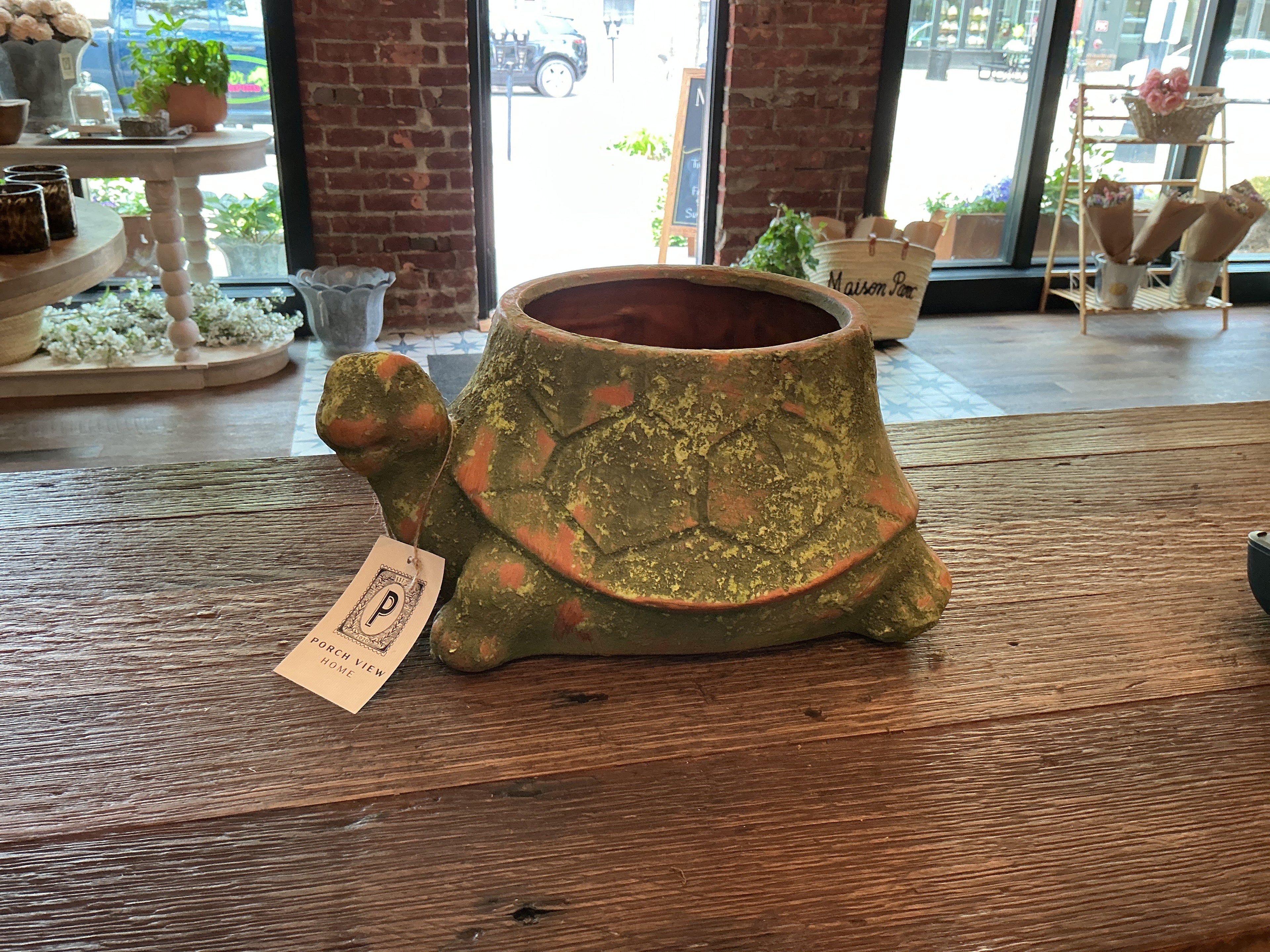 Large mossy Terra cotta turtle planter