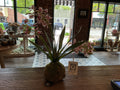 Variegated pink mini orchid large moss ball