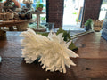 Fresh touch dahlia stem white